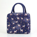 2020 Insulated Lunch Bag